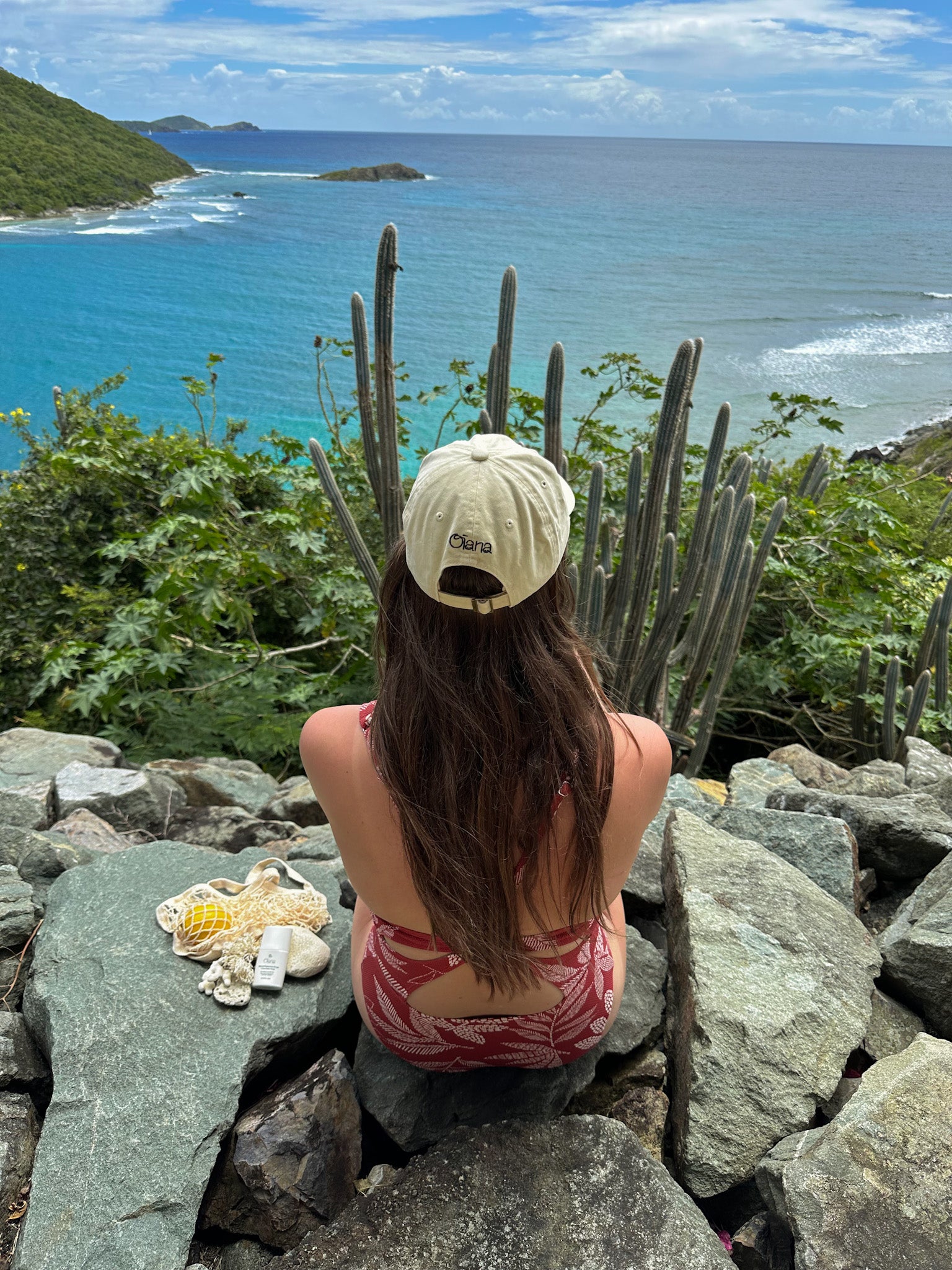 Organic Cotton Signature Cap